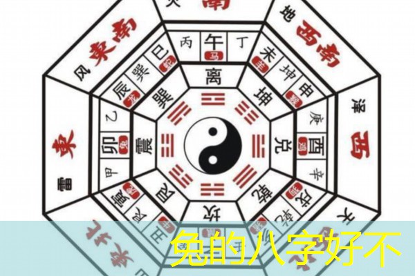  兔的八字好不
