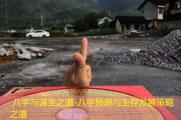  八字与谋生之道-八字预测与生存发展策略之道