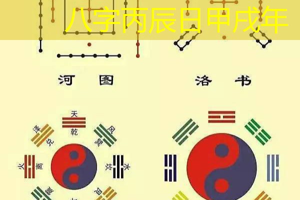  八字丙辰日甲戌年