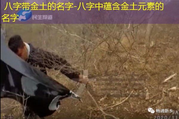  八字带金土的名字-八字中蕴含金土元素的名字