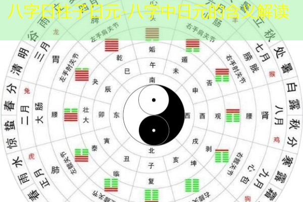  八字日柱子日元-八字中日元的含义解读