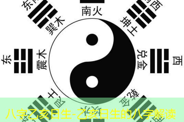  八字乙亥日生-乙亥日生的八字解读