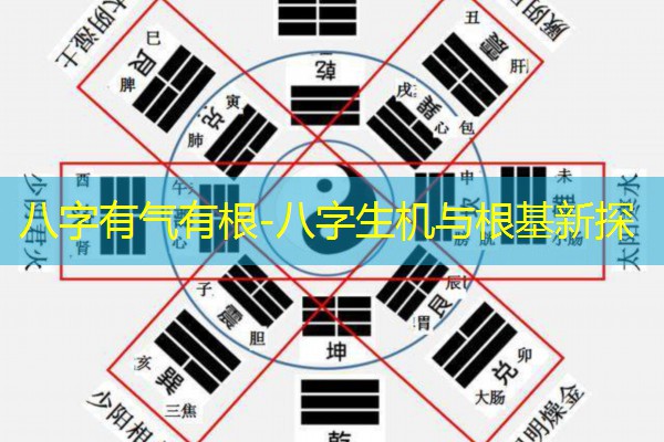  八字有气有根-八字生机与根基新探