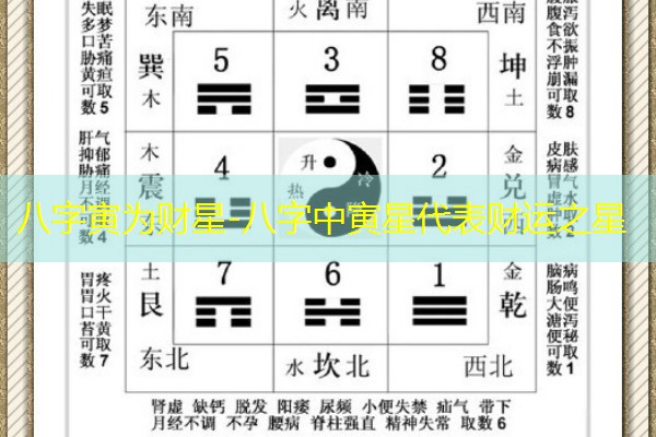  八字寅为财星-八字中寅星代表财运之星