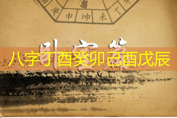  八字丁酉癸卯己酉戊辰