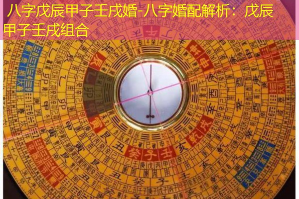 八字戊辰甲子壬戌婚-八字婚配解析：戊辰甲子壬戌组合
