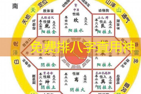  免费排八字查用神