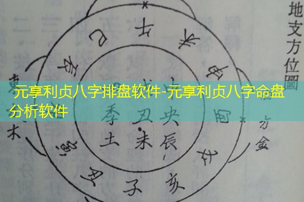  元享利贞八字排盘软件-元享利贞八字命盘分析软件