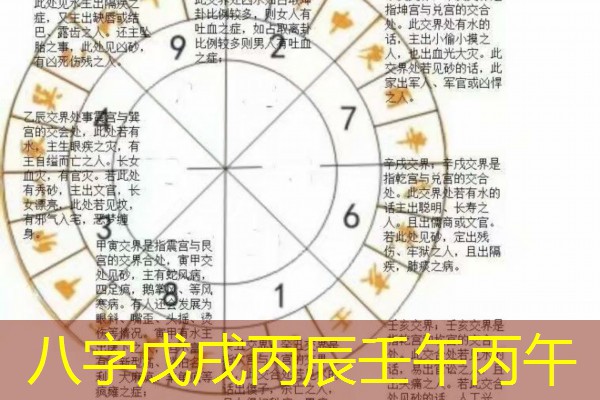 八字戊戌丙辰壬午丙午