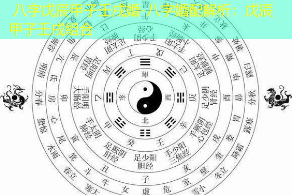  八字戊辰甲子壬戌婚-八字婚配解析：戊辰甲子壬戌组合