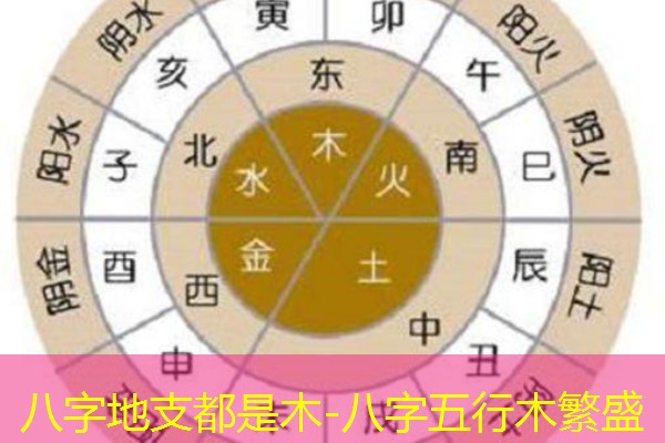  八字地支都是木-八字五行木繁盛