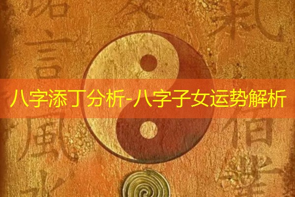  八字添丁分析-八字子女运势解析
