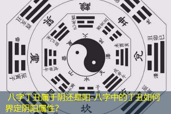  八字丁丑属于阴还是阳-八字中的丁丑如何界定阴阳属性？