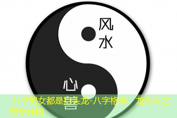  八字男女都是抬头龙-八字格局：龙抬头之男女共相