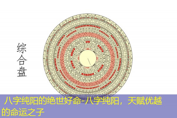  八字纯阳的绝世好命-八字纯阳，天赋优越的命运之子