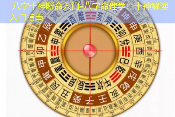  八字十神断命入门-八字命理学：十神解读入门指南