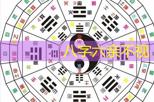  八字六亲不视