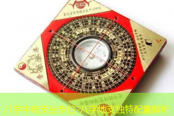  八字中地支坐专位-八字地支独特配置解析