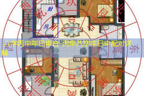  八字丙申年巳申合-丙申八字年巳申配对详解