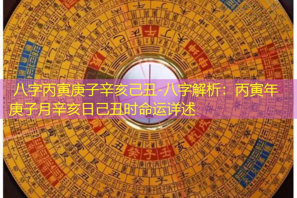  八字丙寅庚子辛亥己丑-八字解析：丙寅年庚子月辛亥日己丑时命运详述