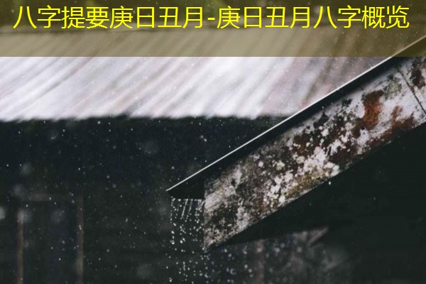  八字提要庚日丑月-庚日丑月八字概览