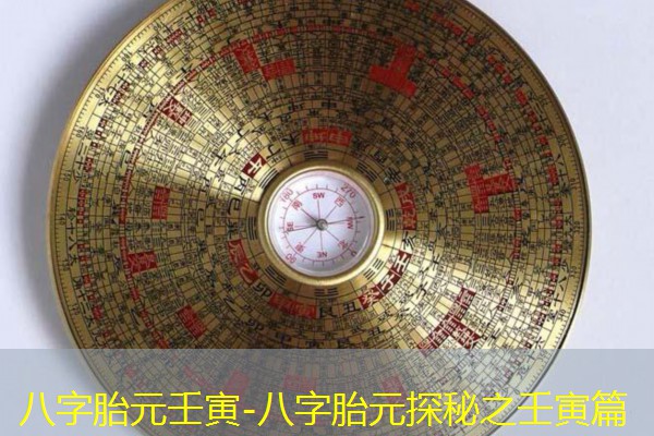 八字胎元壬寅-八字胎元探秘之壬寅篇
