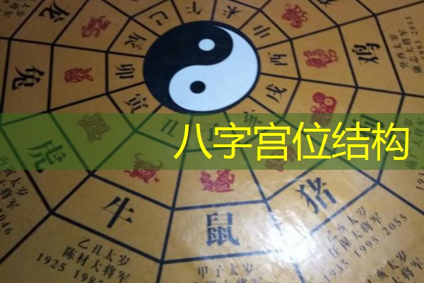  八字宫位结构