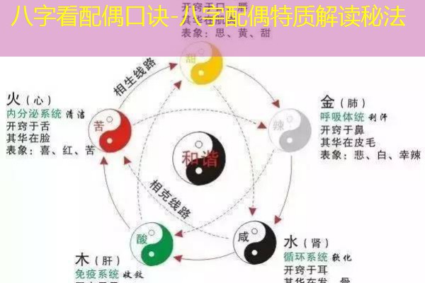  八字看配偶口诀-八字配偶特质解读秘法