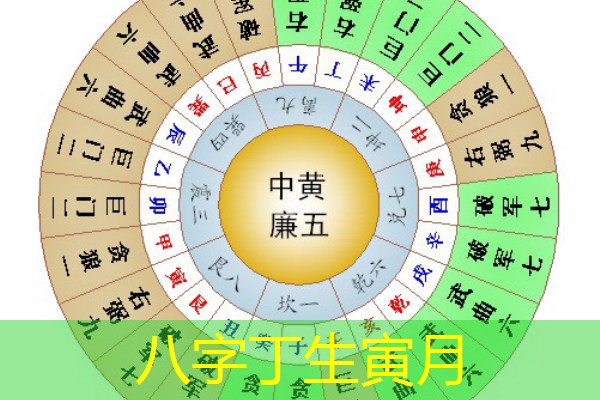  八字丁生寅月