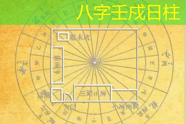  八字壬戍日柱