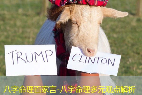  八字命理百家言-八字命理多元观点解析