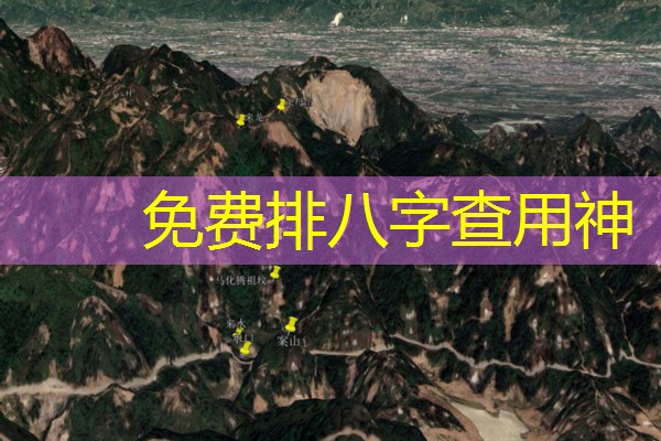  免费排八字查用神