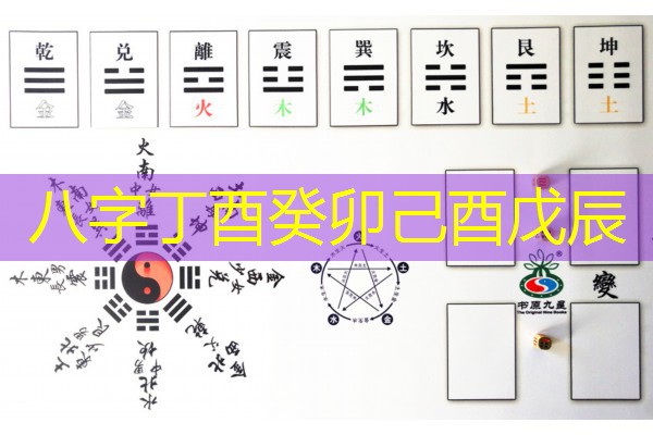  八字丁酉癸卯己酉戊辰