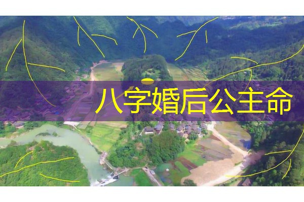  八字婚后公主命