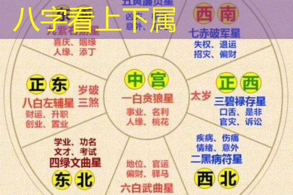  八字看上下属