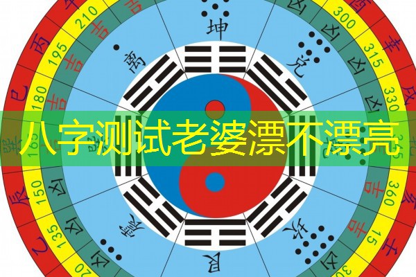  八字测试老婆漂不漂亮