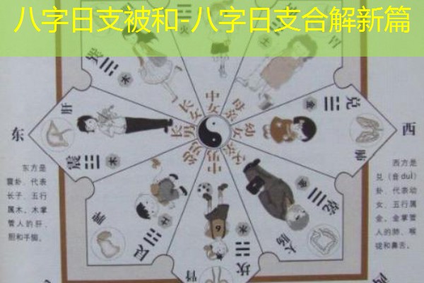  八字日支被和-八字日支合解新篇