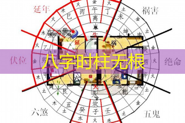  八字时柱无根