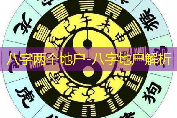  八字两个地户-八字地户解析