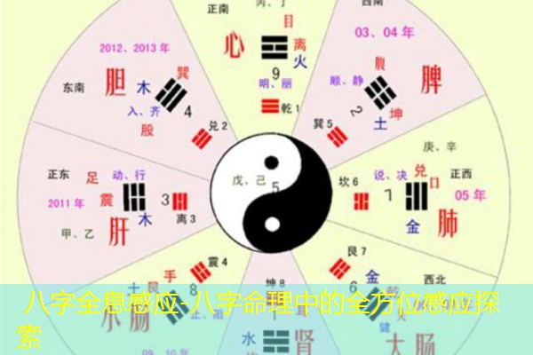  八字全息感应-八字命理中的全方位感应探索