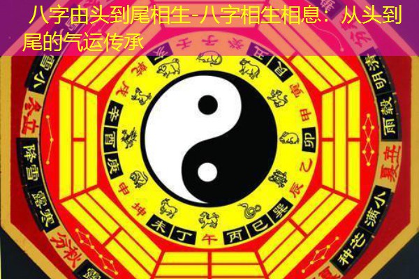 八字由头到尾相生-八字相生相息：从头到尾的气运传承