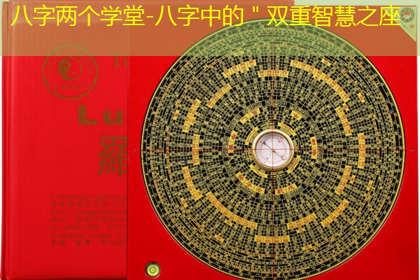  八字两个学堂-八字中的＂双重智慧之座