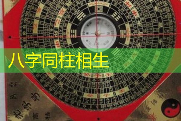  八字同柱相生