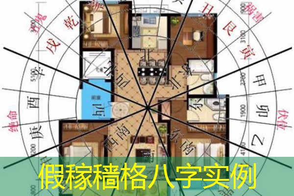  假稼穑格八字实例