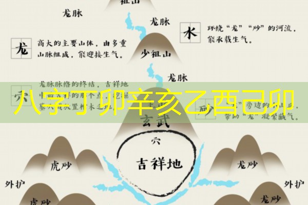  八字丁卯辛亥乙酉己卯