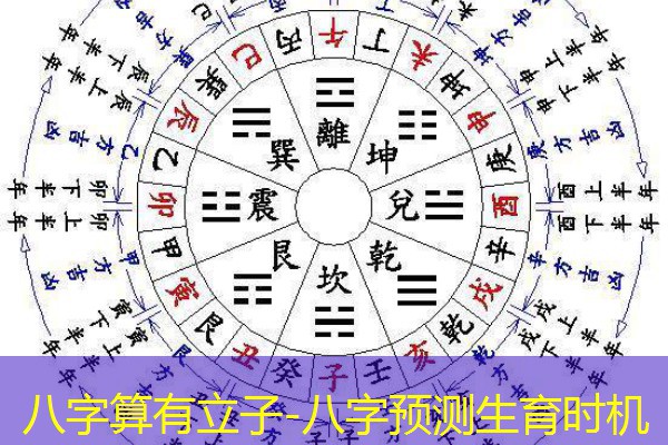  八字算有立子-八字预测生育时机