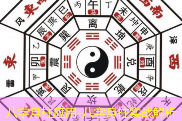  八字月柱应用-八字月柱实战解析