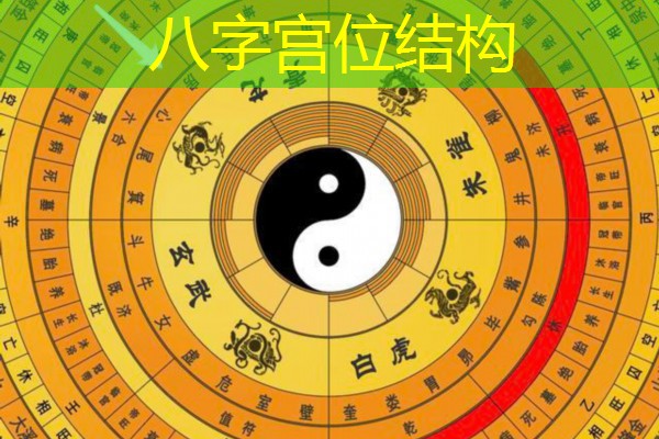  八字宫位结构