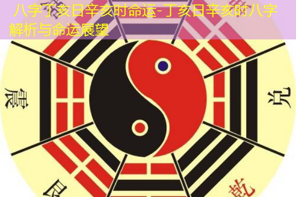  八字丁亥日辛亥时命运-丁亥日辛亥时八字解析与命运展望