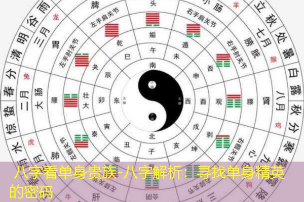  八字看单身贵族-八字解析：寻找单身精英的密码